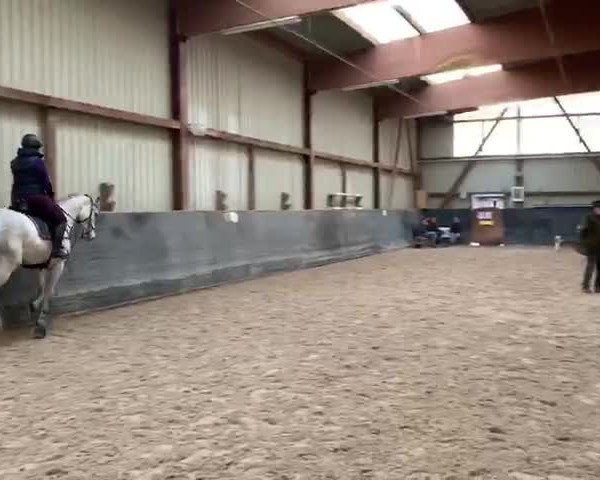 Video of Champlin