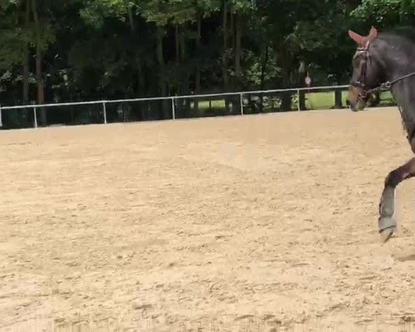 Video von Hero 83
