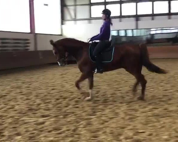 Video von Ivano