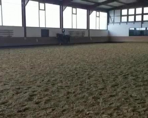 Video von Ivano