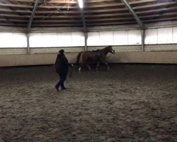 Video of Acorado's ü-Ei