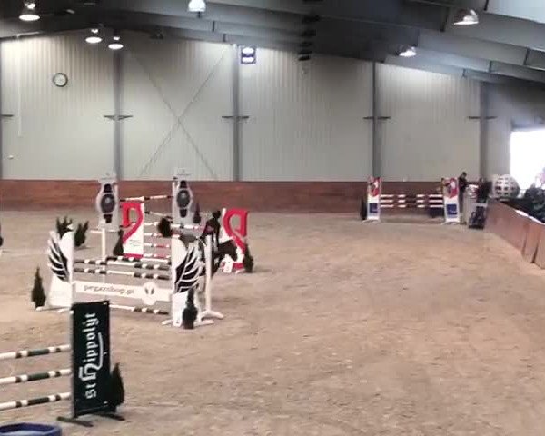 Video von Rosanna