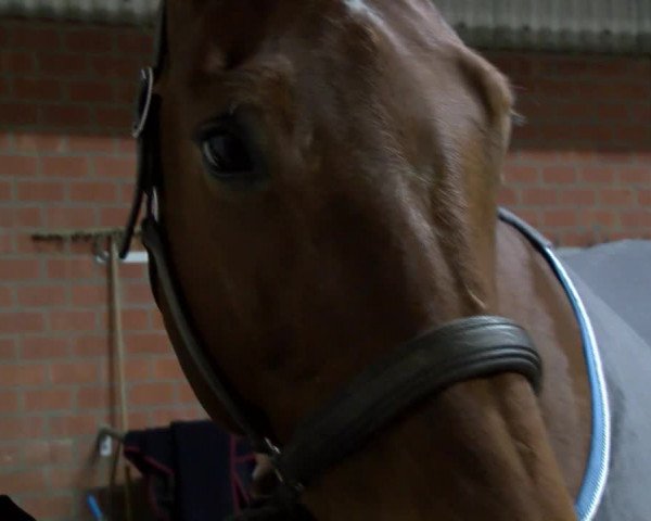 Video of Bocelli II