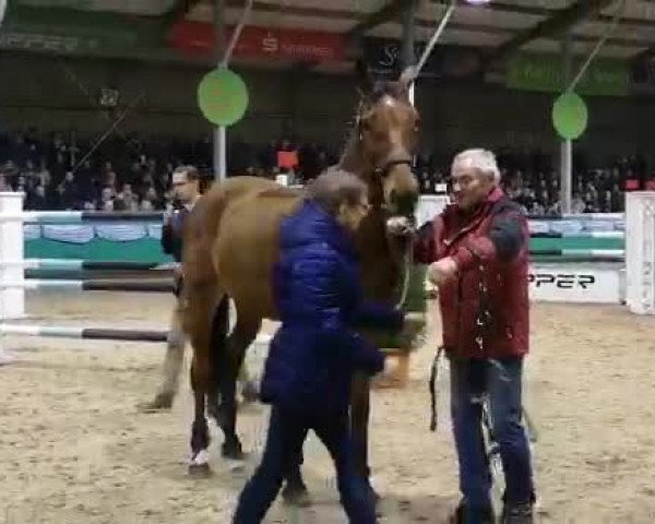 Video of Bocelli II