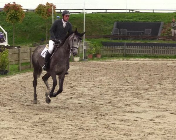 Reitturnier Schülp / Rendsburg 2021