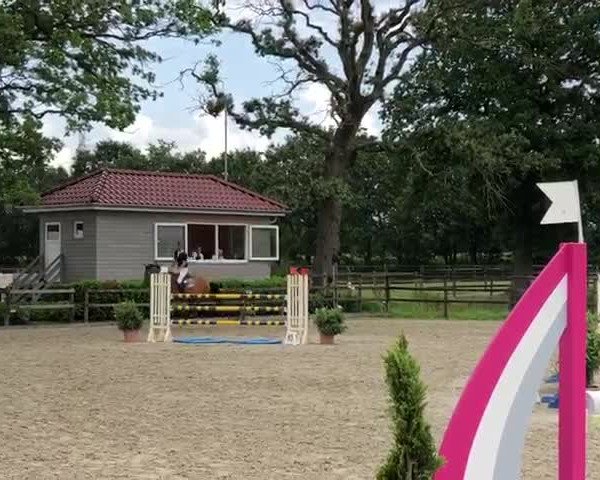 Reitturnier Hamburg-Klein Offenseth/Hengststation Maas J.Hell GmbH 2019
