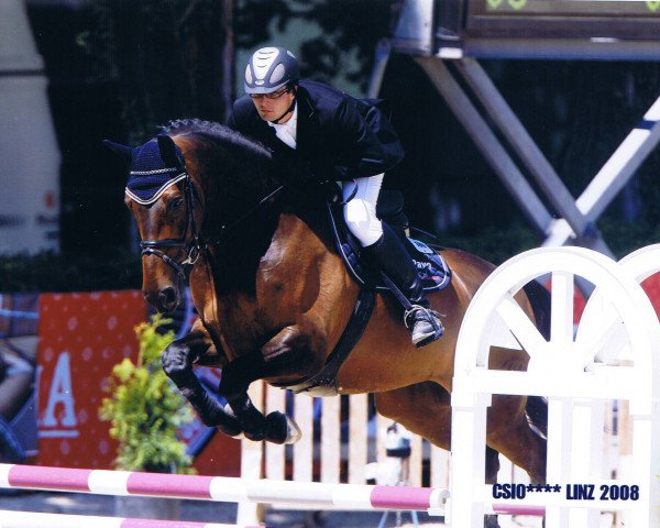 Springpferd So High (Württemberger, 2000, von Sterntänzer)