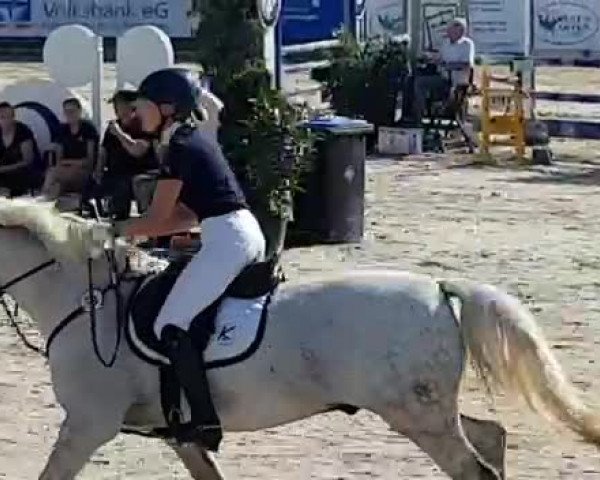 Reitturnier Harsum-Hüddessum 2019