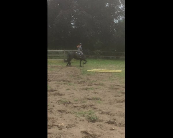 Video of Kania Z