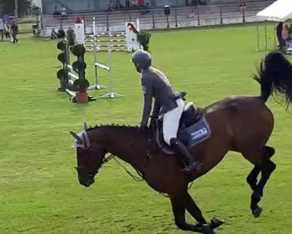 Video von Debby T