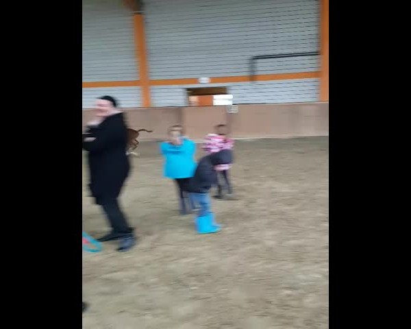 Video of Asaro