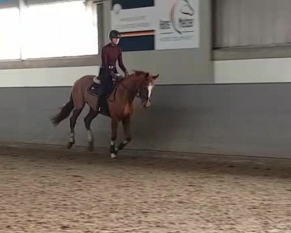 Video of Indian Summer Sun