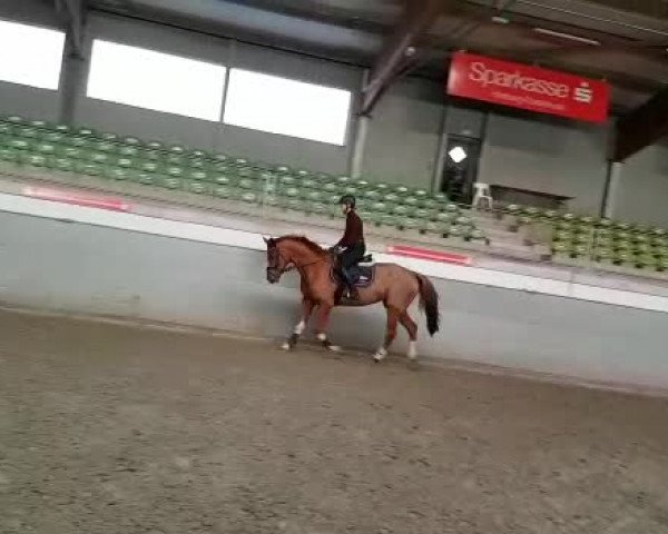 Video of Indian Summer Sun