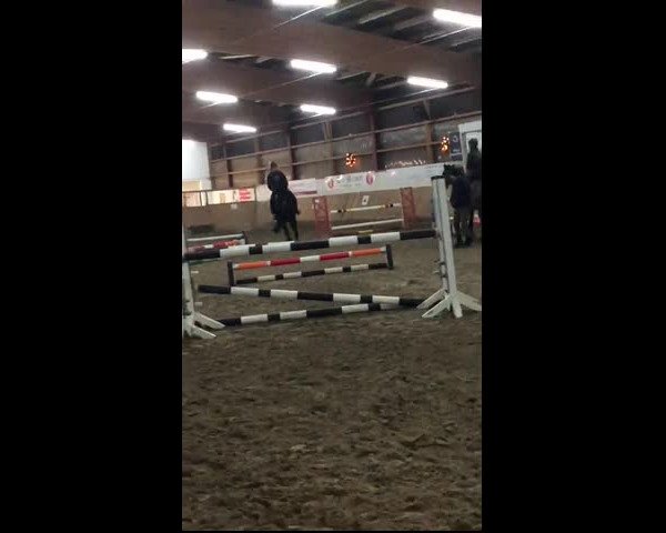 Video of Quintana G