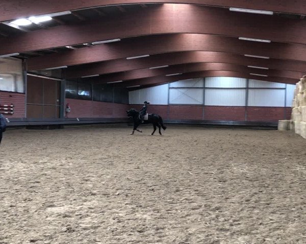 Video of Freixenet To Go