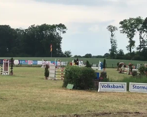 Reitturnier Hof Springbek/Reinfeld 2018