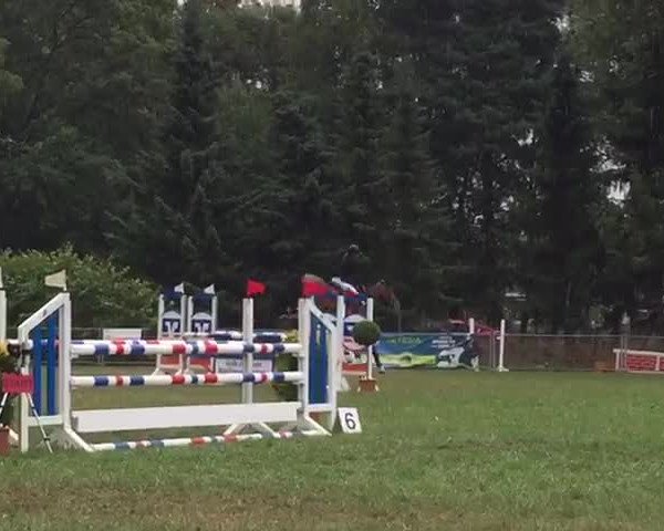 Reitturnier Duvensee 2018