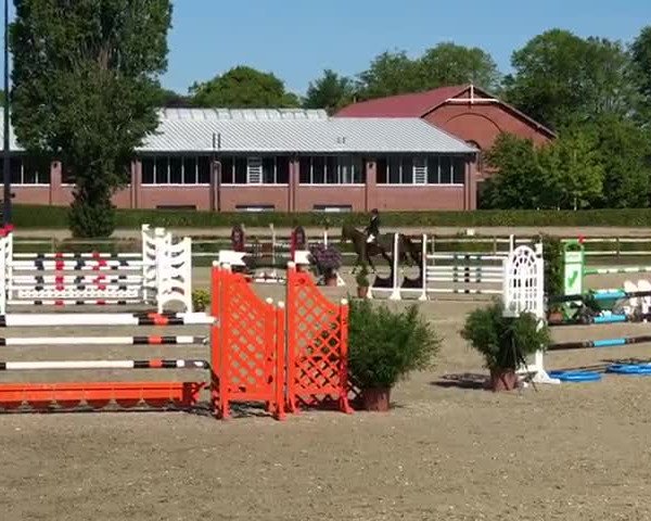 Reitturnier Elmshorn 2019