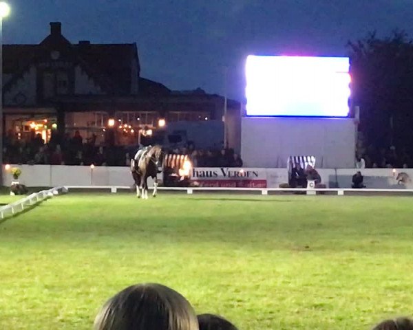 Reitturnier Norderney 2019