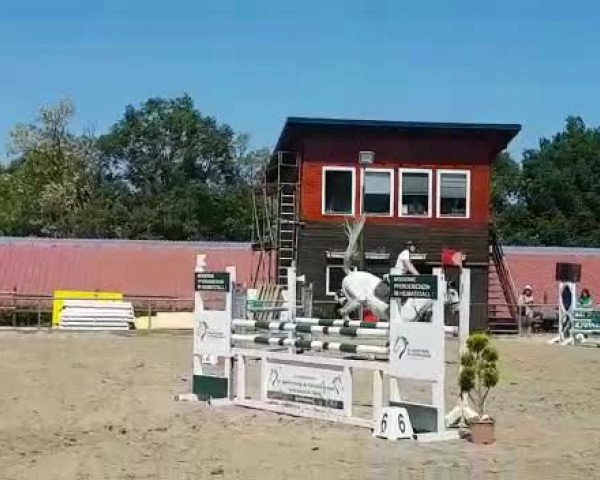 Reitturnier Hasslinghausen 2018