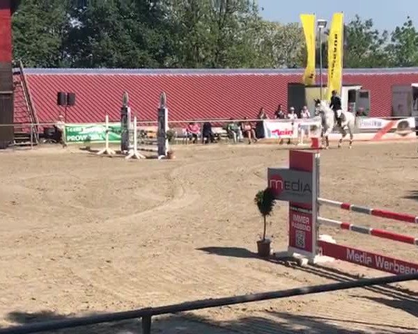Reitturnier Hasslinghausen 2018