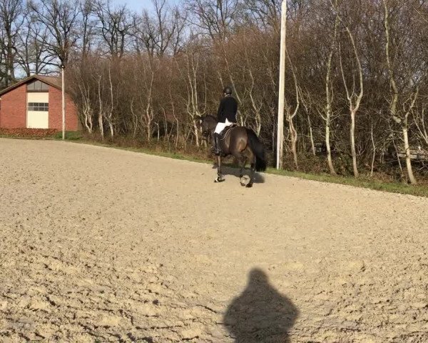 Video von Symposio G