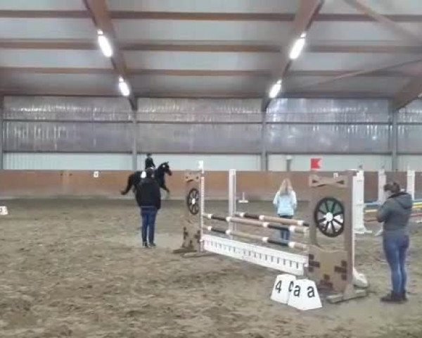 Video of Fire Day