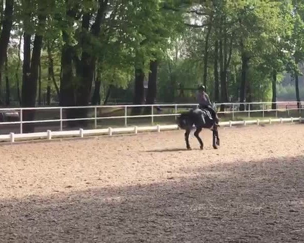 Video of Fire Day