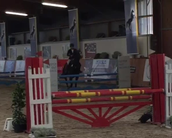 Reitturnier Grevenbroich - Gut Neuhaus 2019
