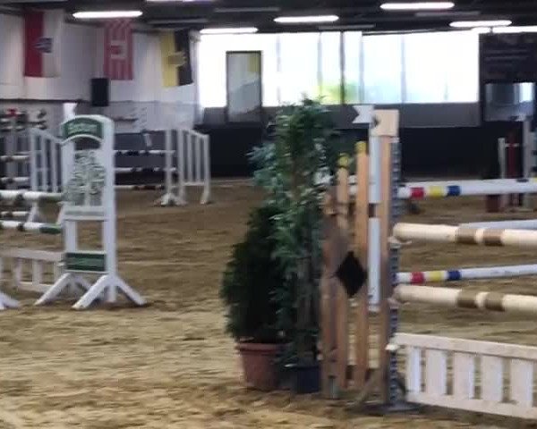 Reitturnier Bochum-Nord 2019