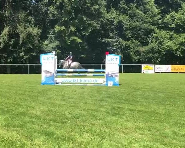 Video of Champlin