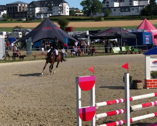 Reitturnier Weiswampach  2019