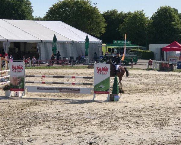 Reitturnier Weiswampach  2019