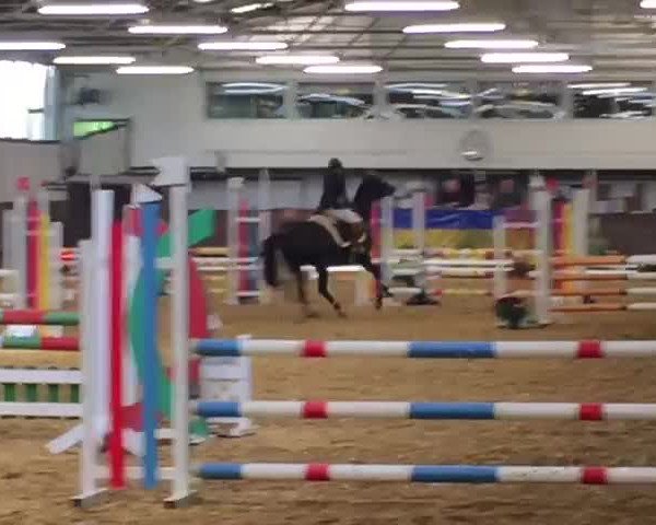 Reitturnier Castrop-Rauxel/Ober-Castrop 2019