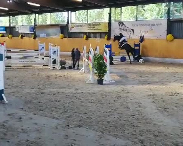 Reitturnier Monheim - Gut Blee 2019