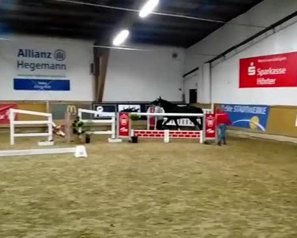 Video von Cassis
