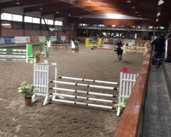 Video of Greta 176