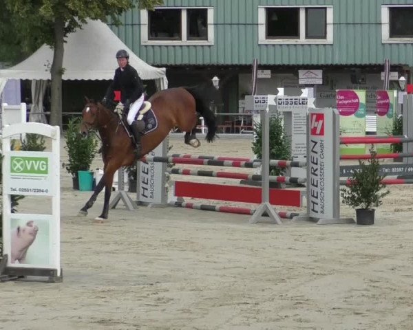 Video von Cimbaley