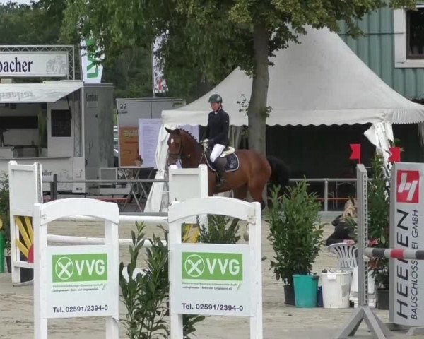 Video von Cimbaley