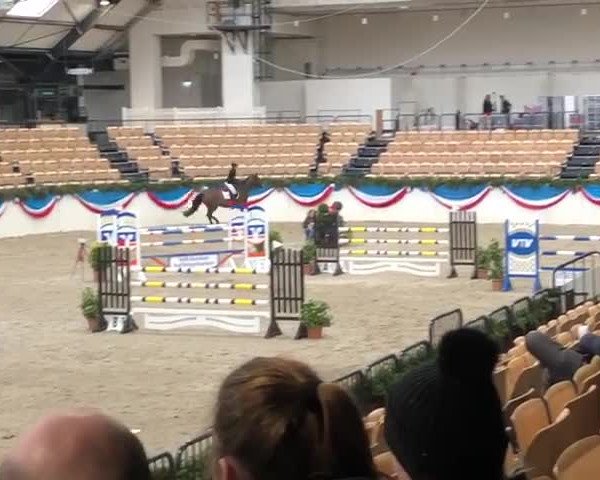 Reitturnier Neumünster 2019