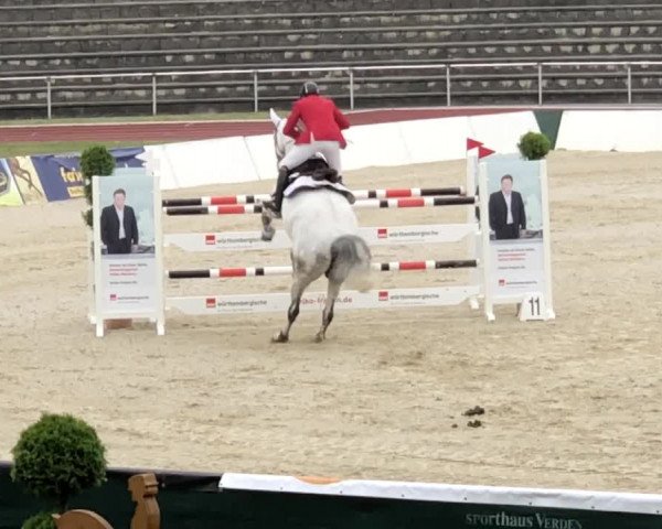 Reitturnier Verden 2018