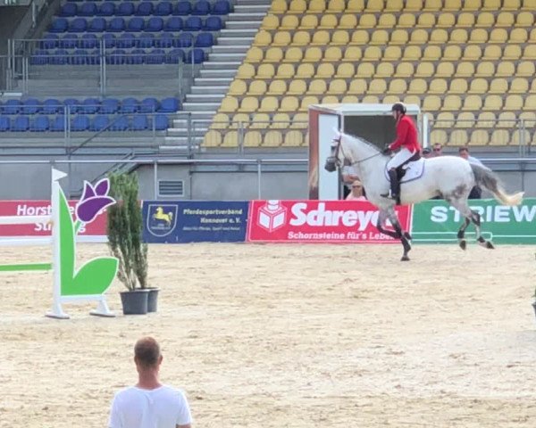 Reitturnier Verden 2018