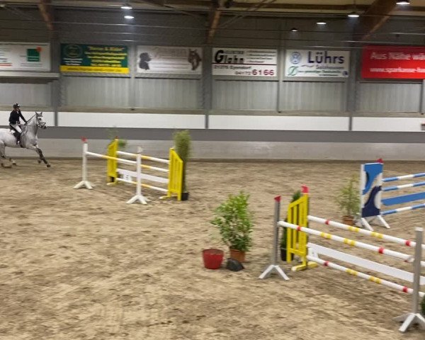 Reitturnier AZL Luhmühlen 2019