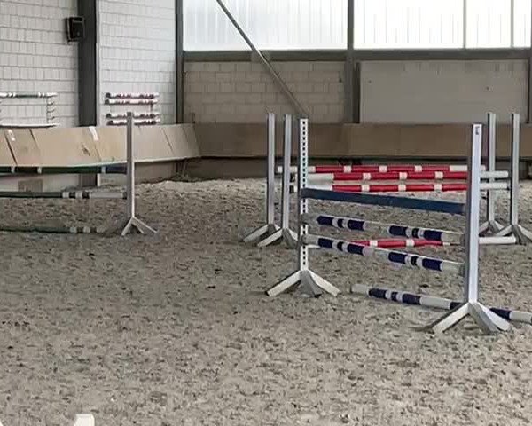Video of Prosecco van Heiste