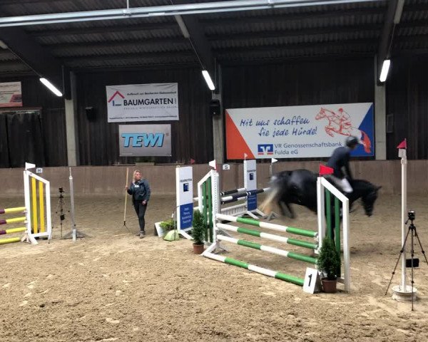 Video of Prosecco van Heiste