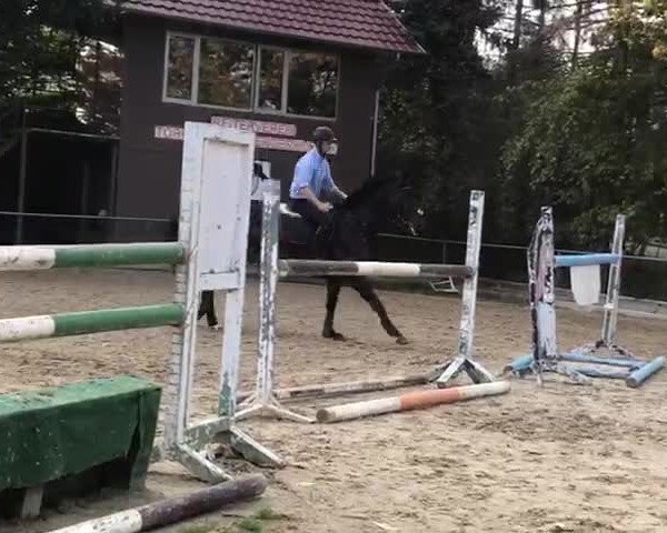 Video of Deja Vu V