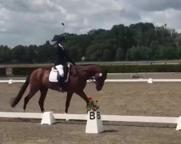 Video of Valery 21