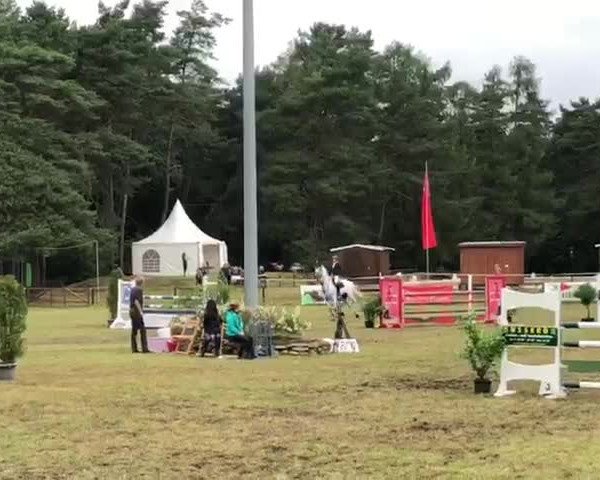 Reitturnier Hambergen 2019