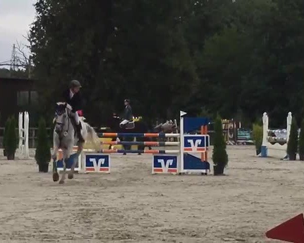 Reitturnier Nienburg 2019