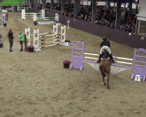 Video of nacho-lumi